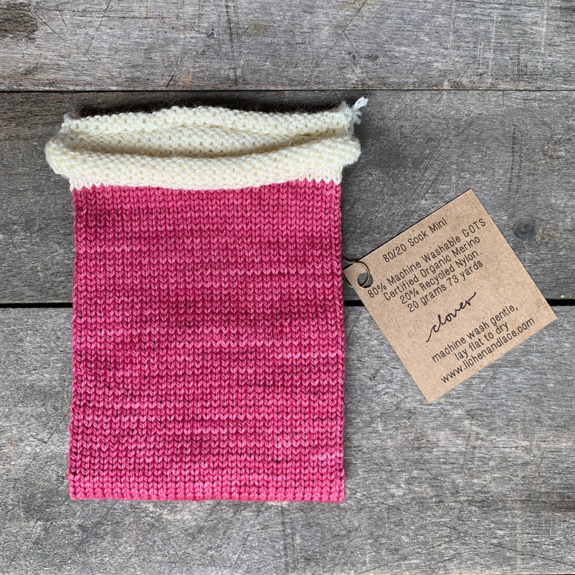 80/20 Sock | Lichen &amp; Lace