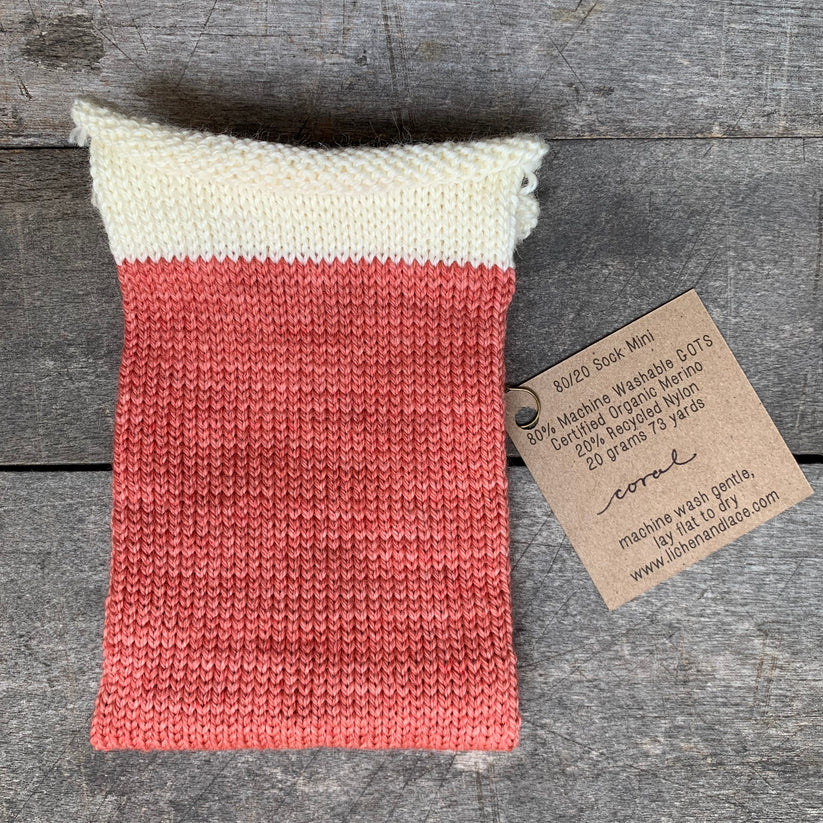 80/20 Sock | Lichen &amp; Lace