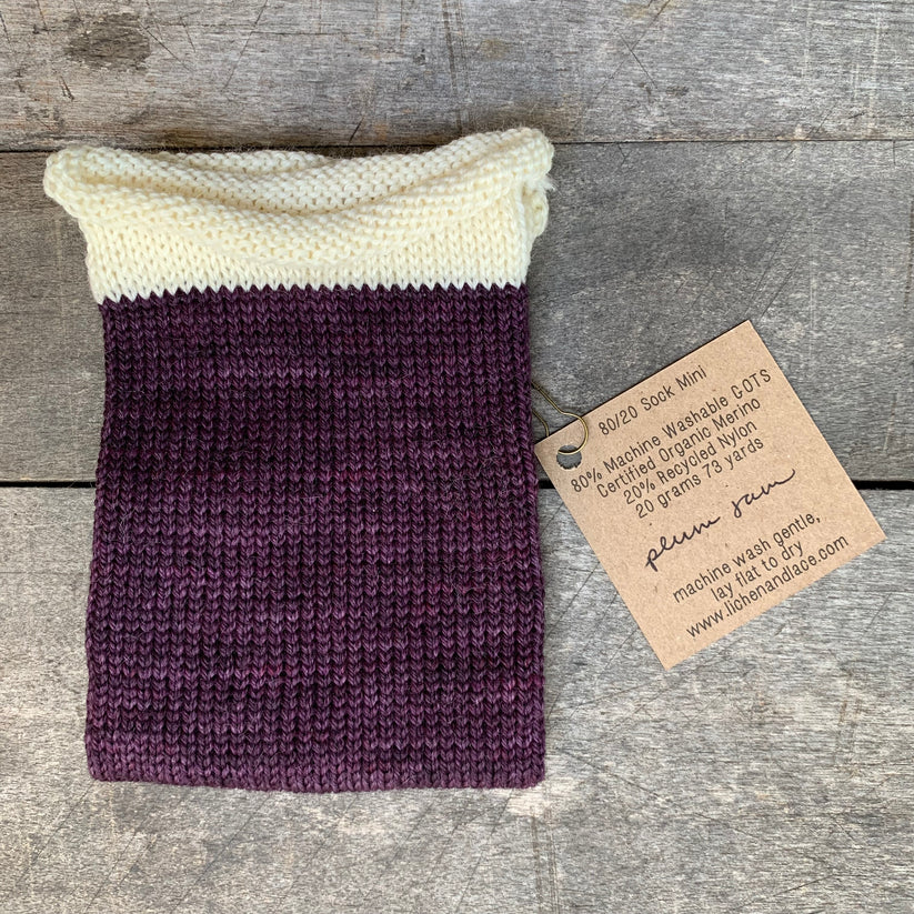 80/20 Sock | Lichen &amp; Lace