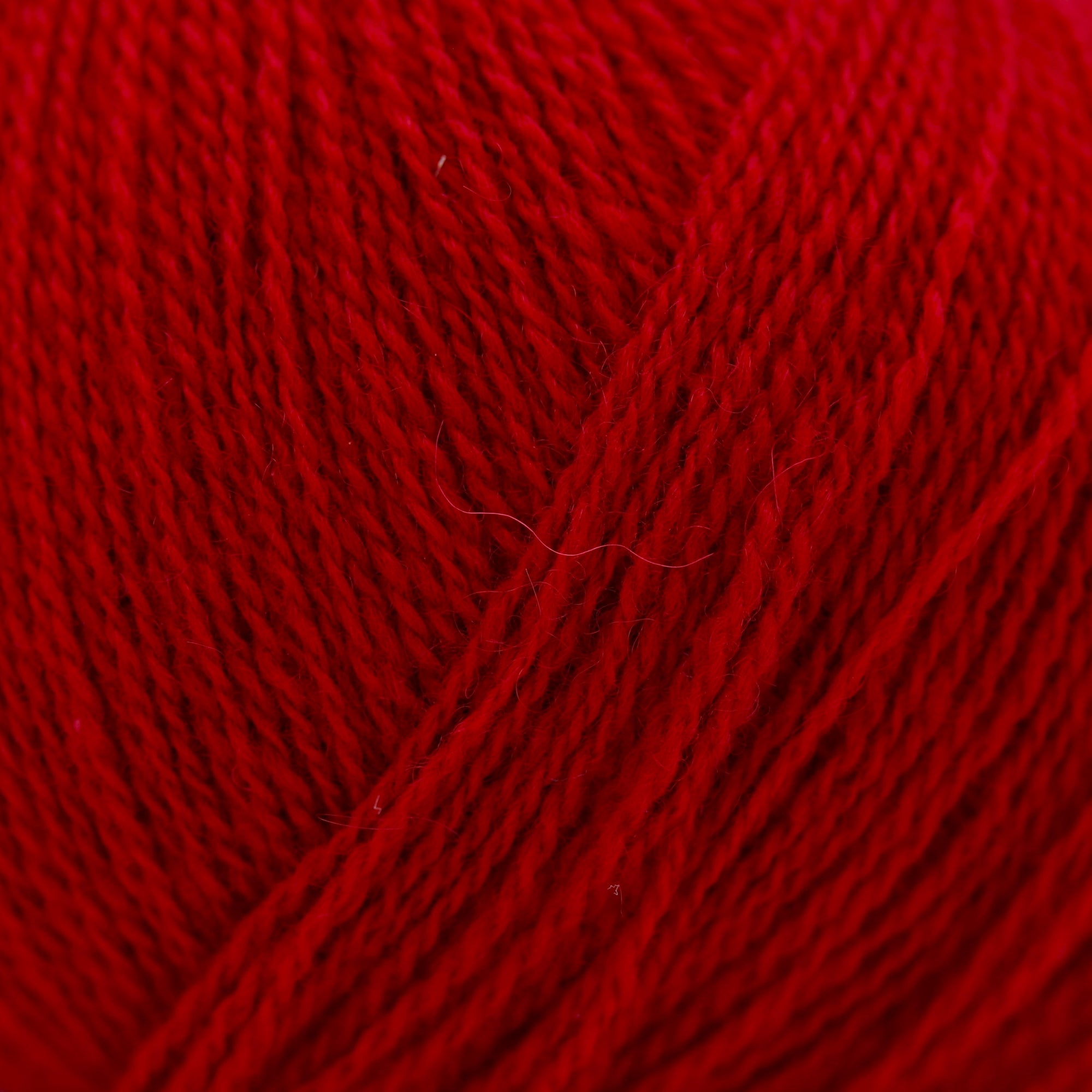 Cashmere Lace | Gepard