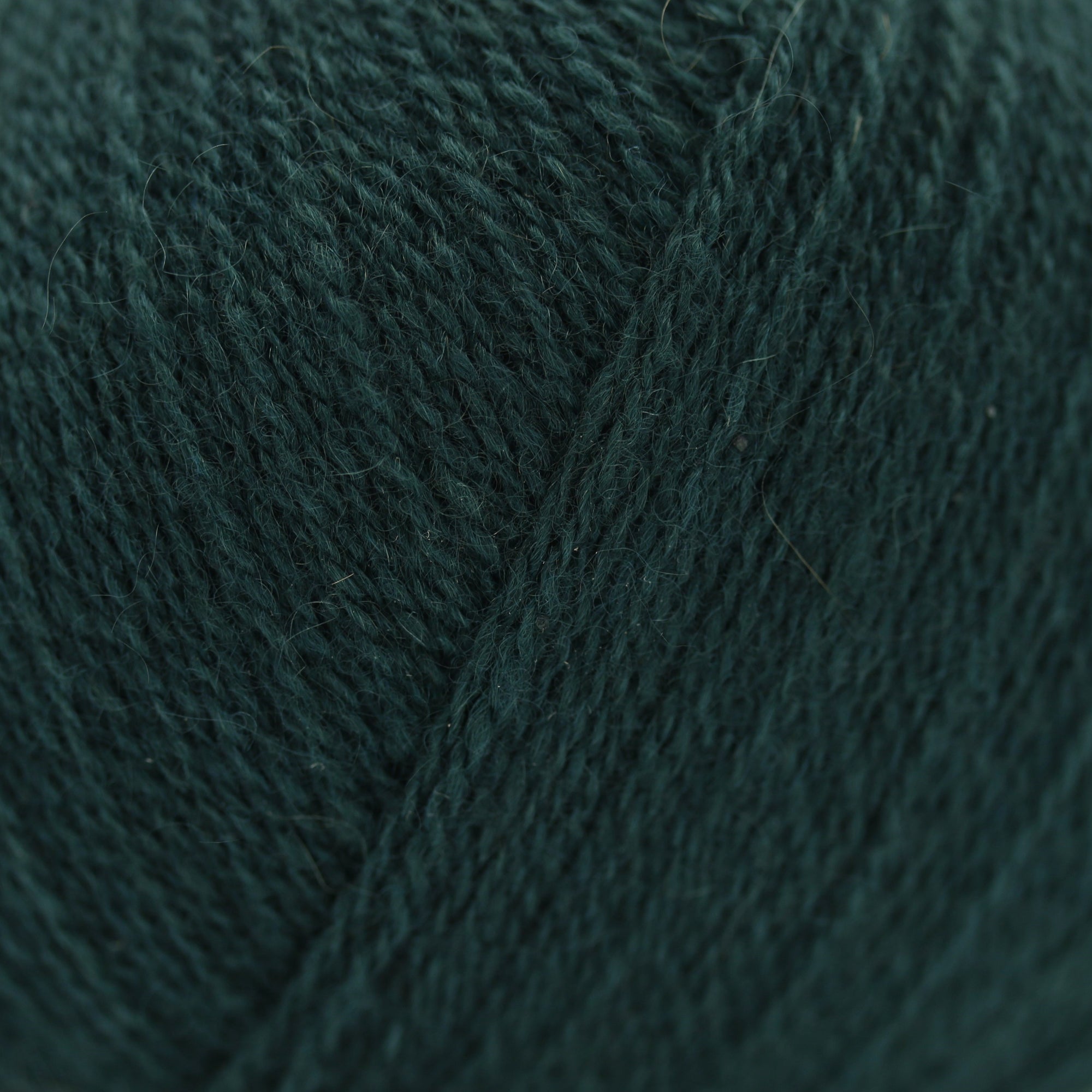 Cashmere Lace | Gepard