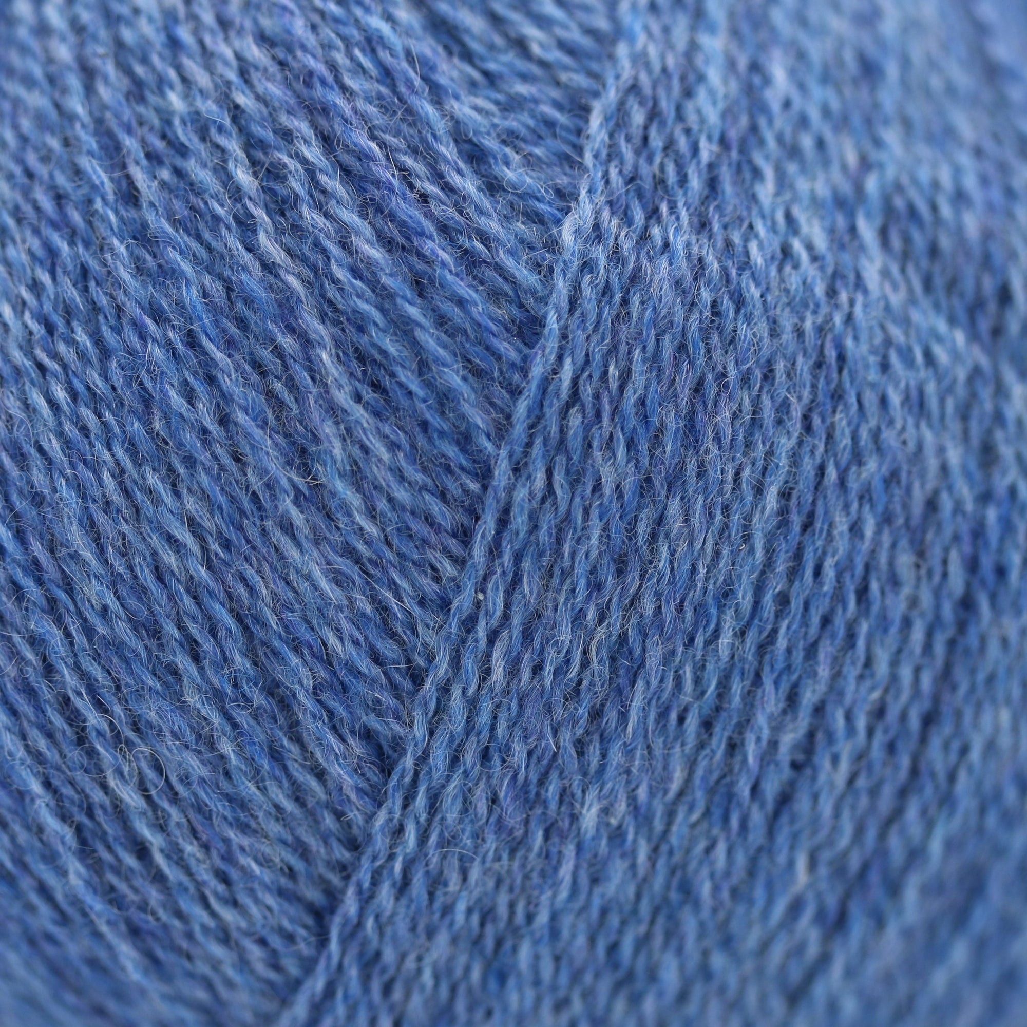 Cashmere Lace | Gepard