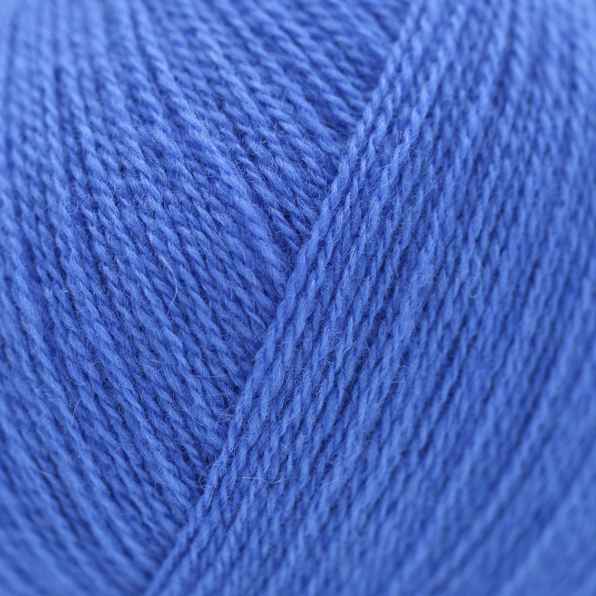 Cashmere Lace | Gepard