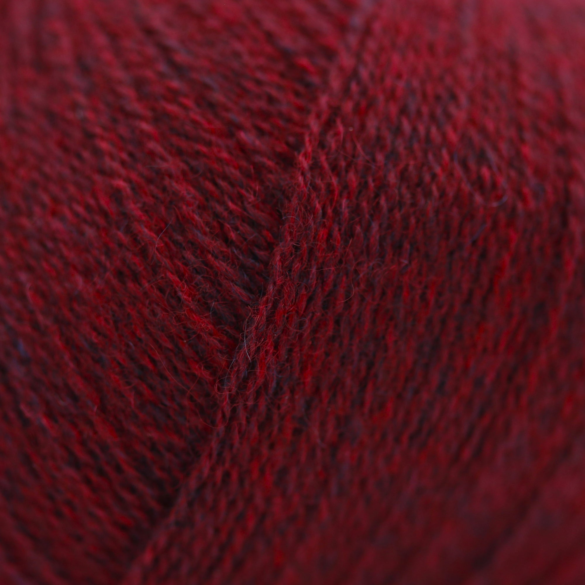 Cashmere Lace | Gepard