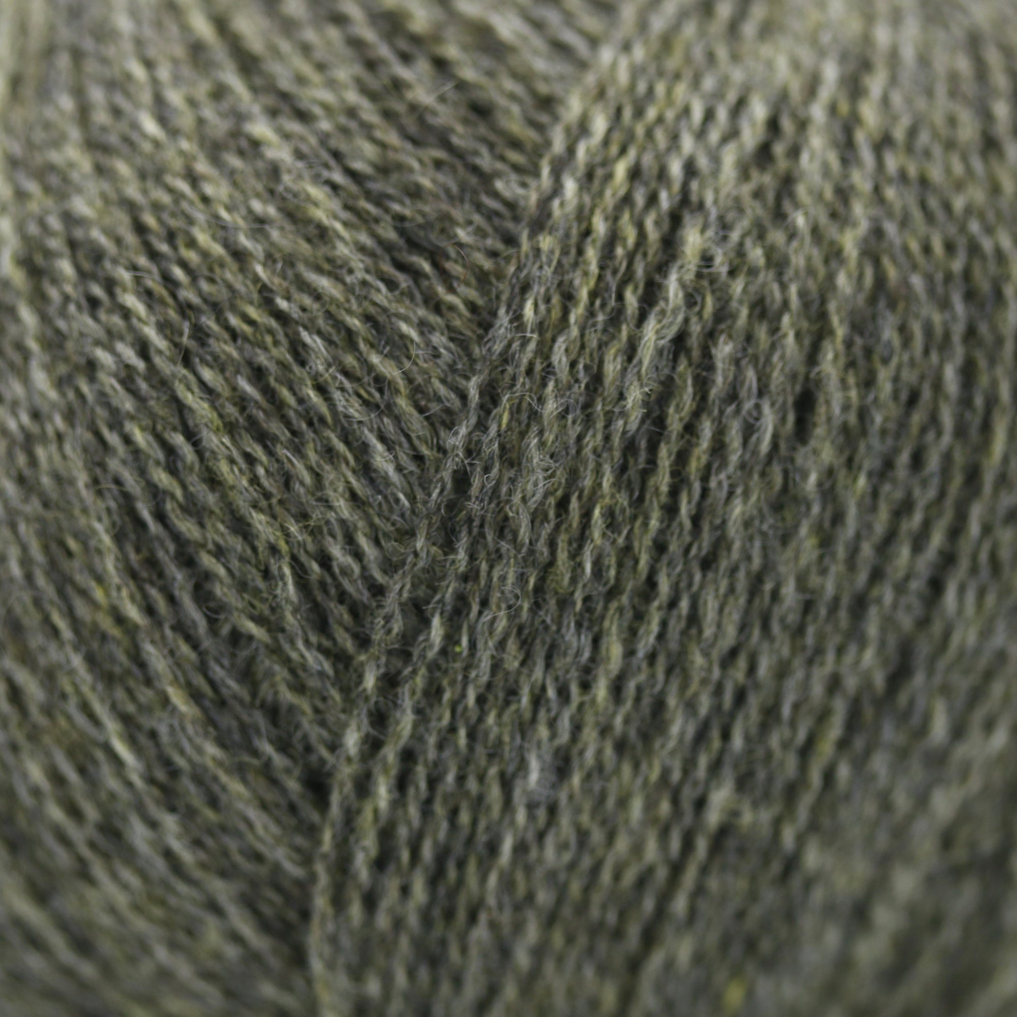 Cashmere Lace | Gepard