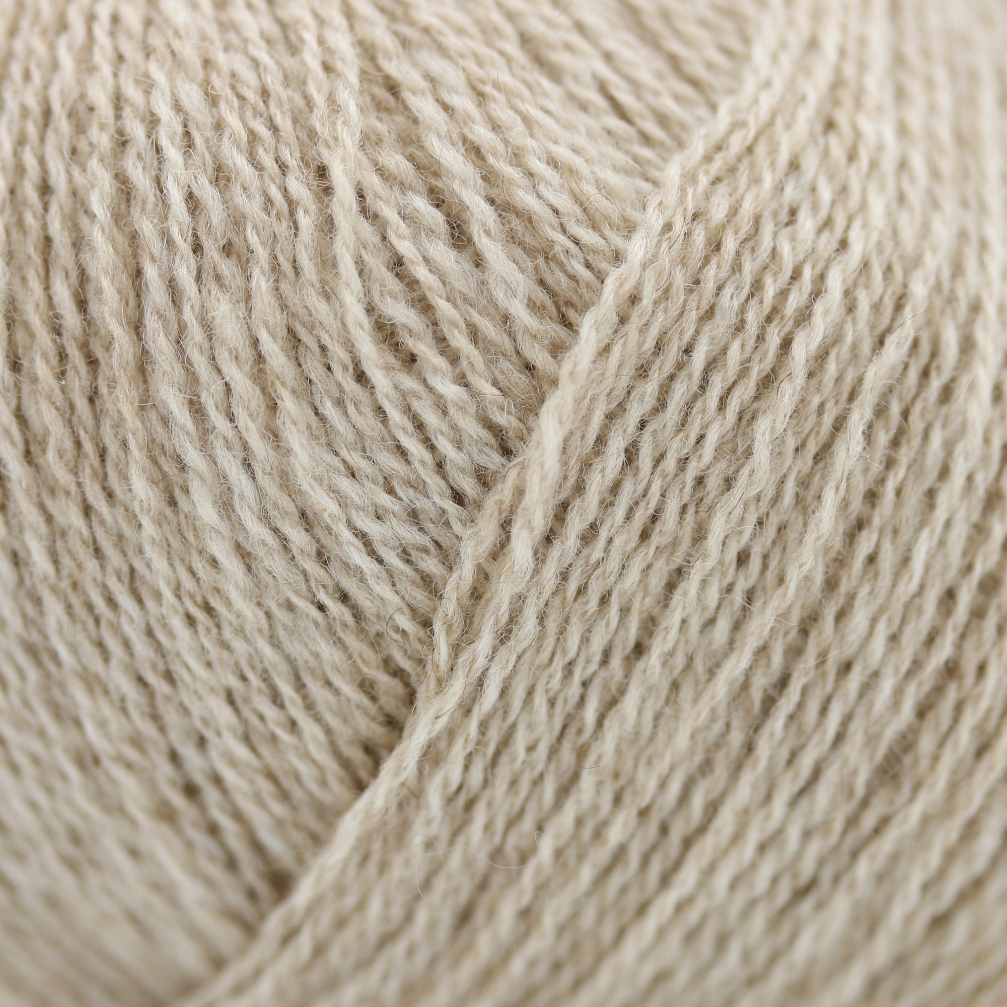 Cashmere Lace | Gepard