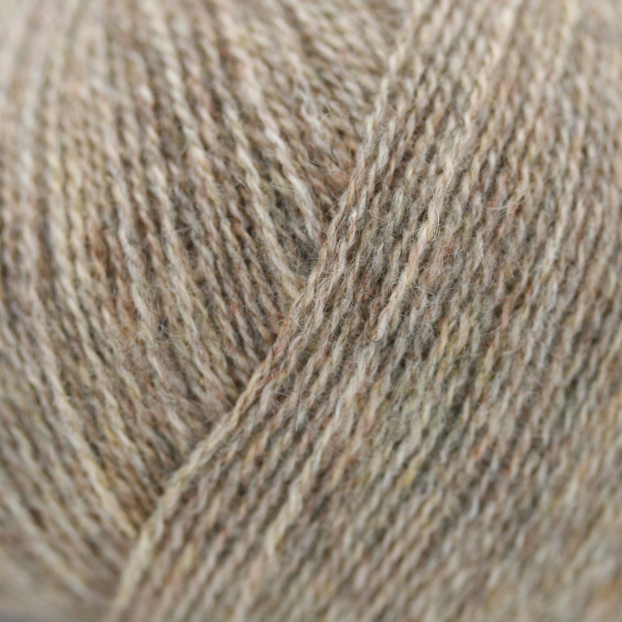 Cashmere Lace | Gepard