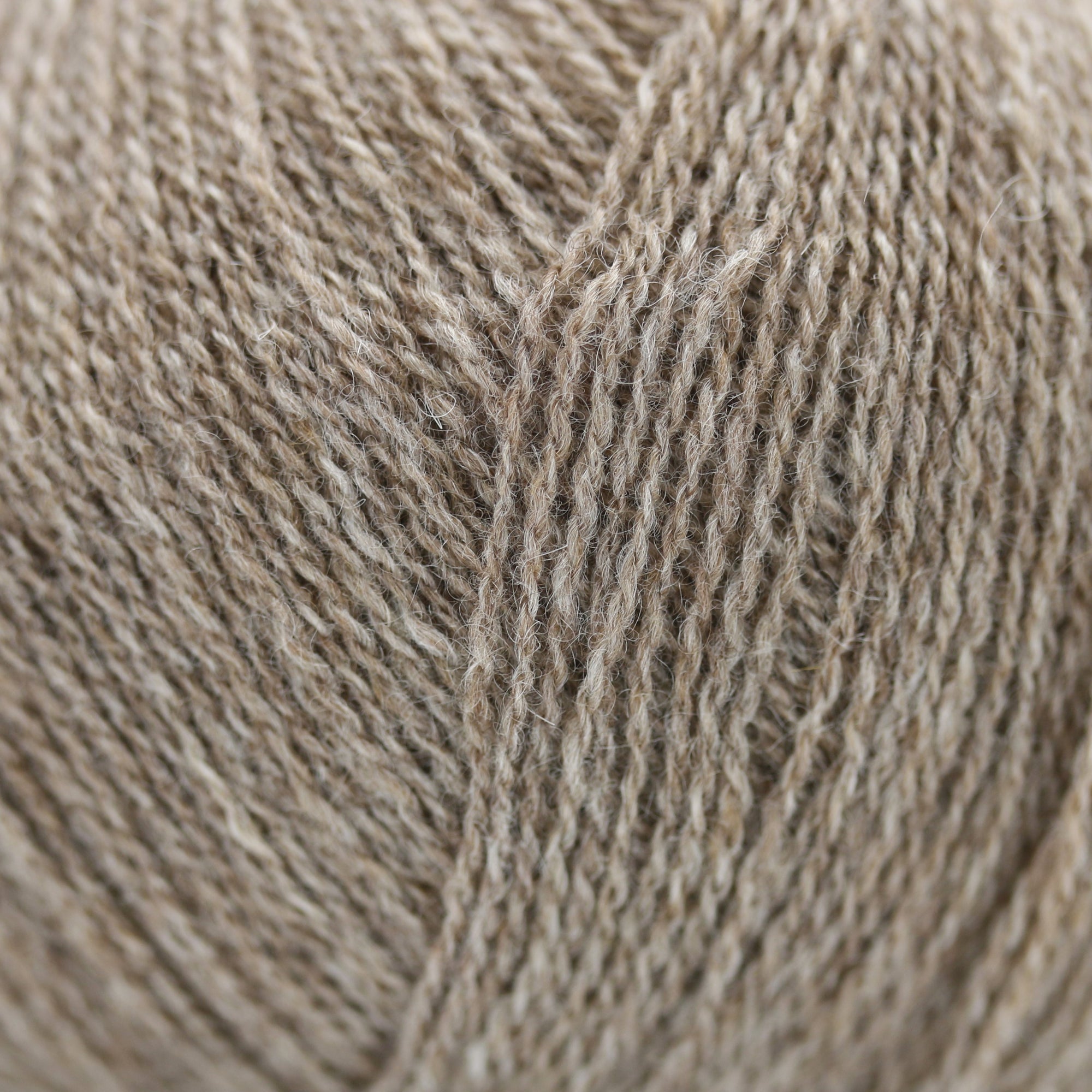 Cashmere Lace | Gepard