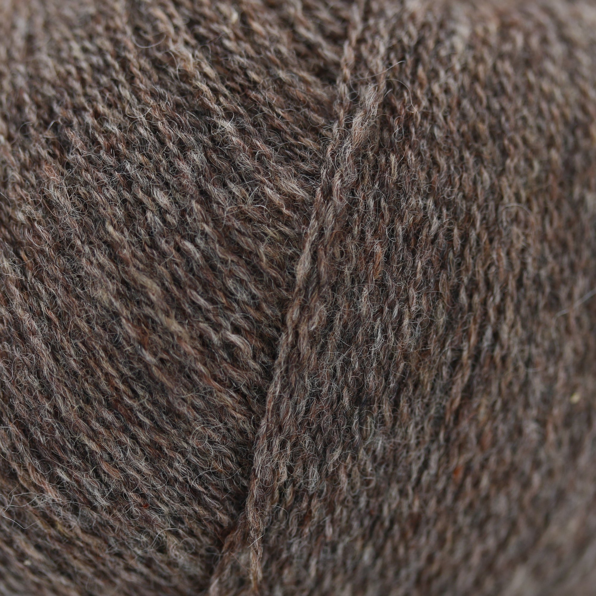 Cashmere Lace | Gepard