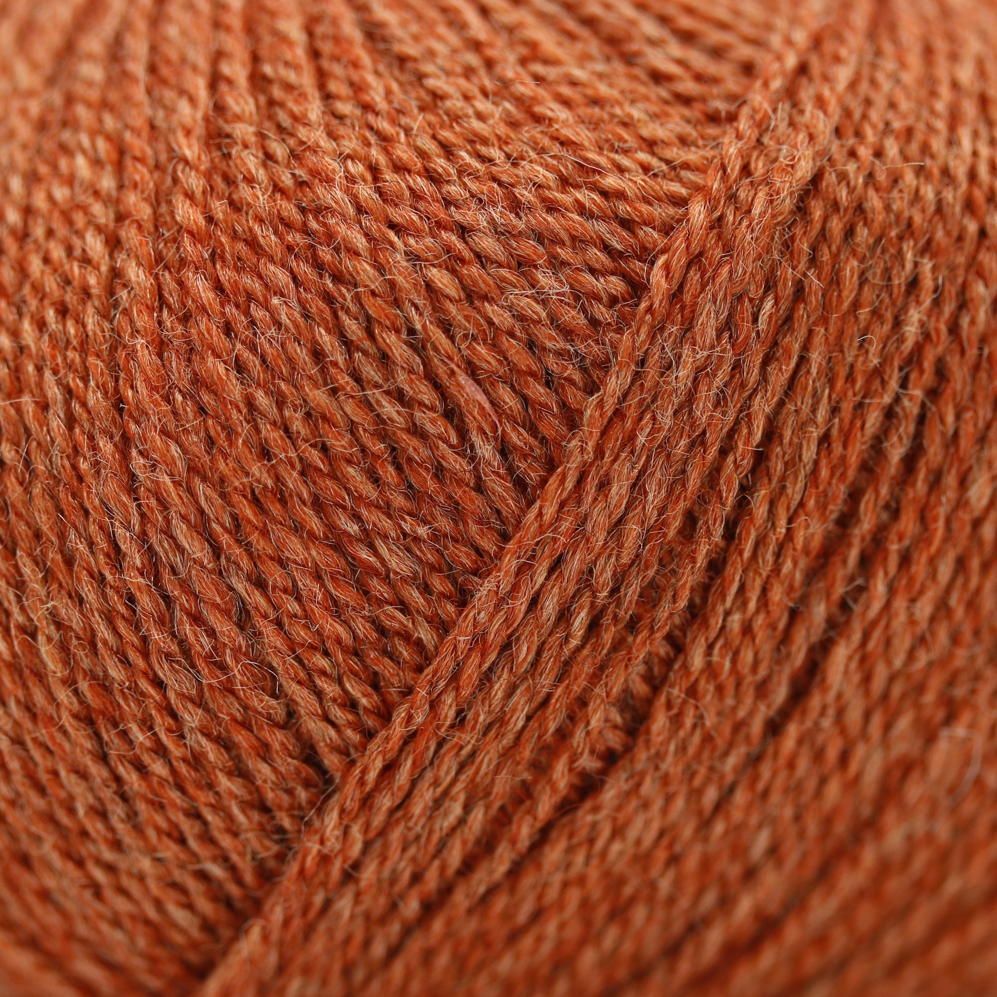 Wild &amp; Soft | Gepard