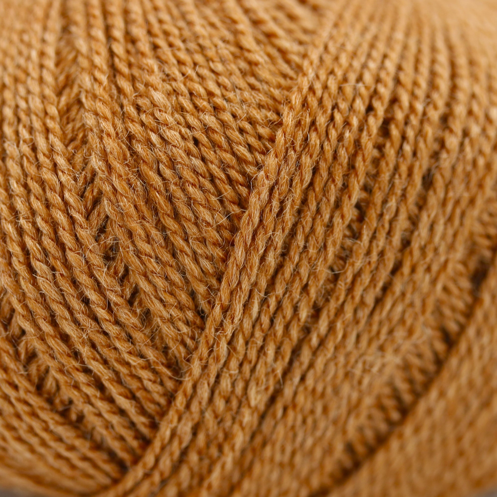 Wild &amp; Soft | Gepard