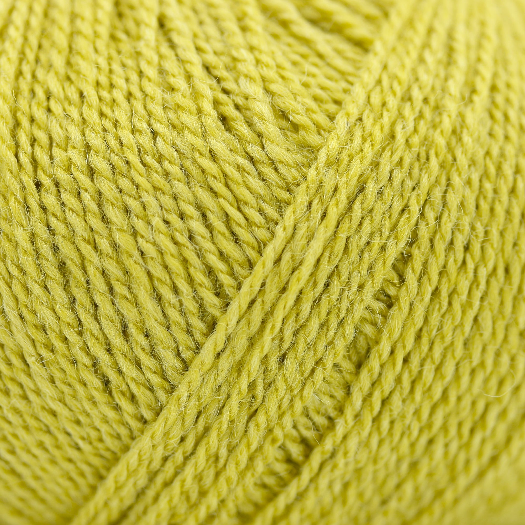 Wild &amp; Soft | Gepard