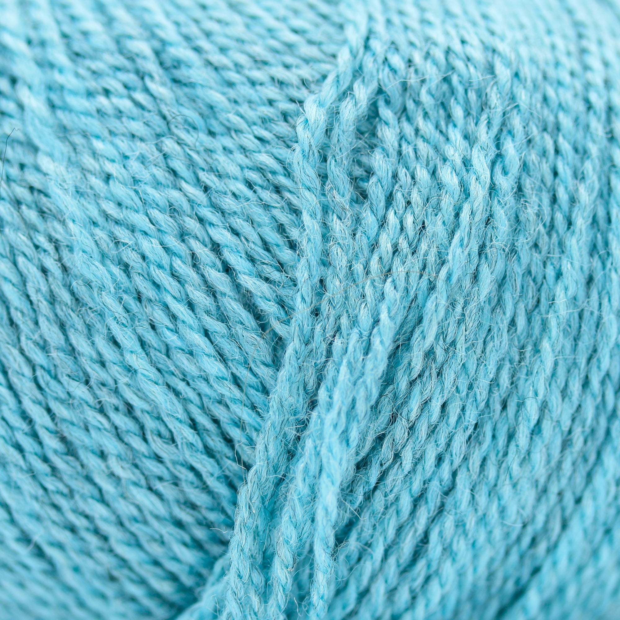 Wild &amp; Soft | Gepard