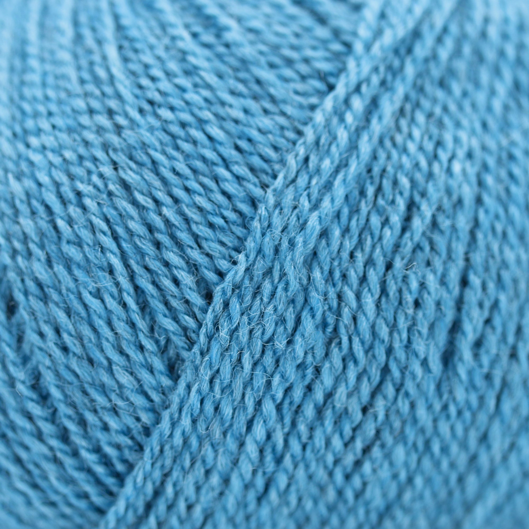 Wild &amp; Soft | Gepard