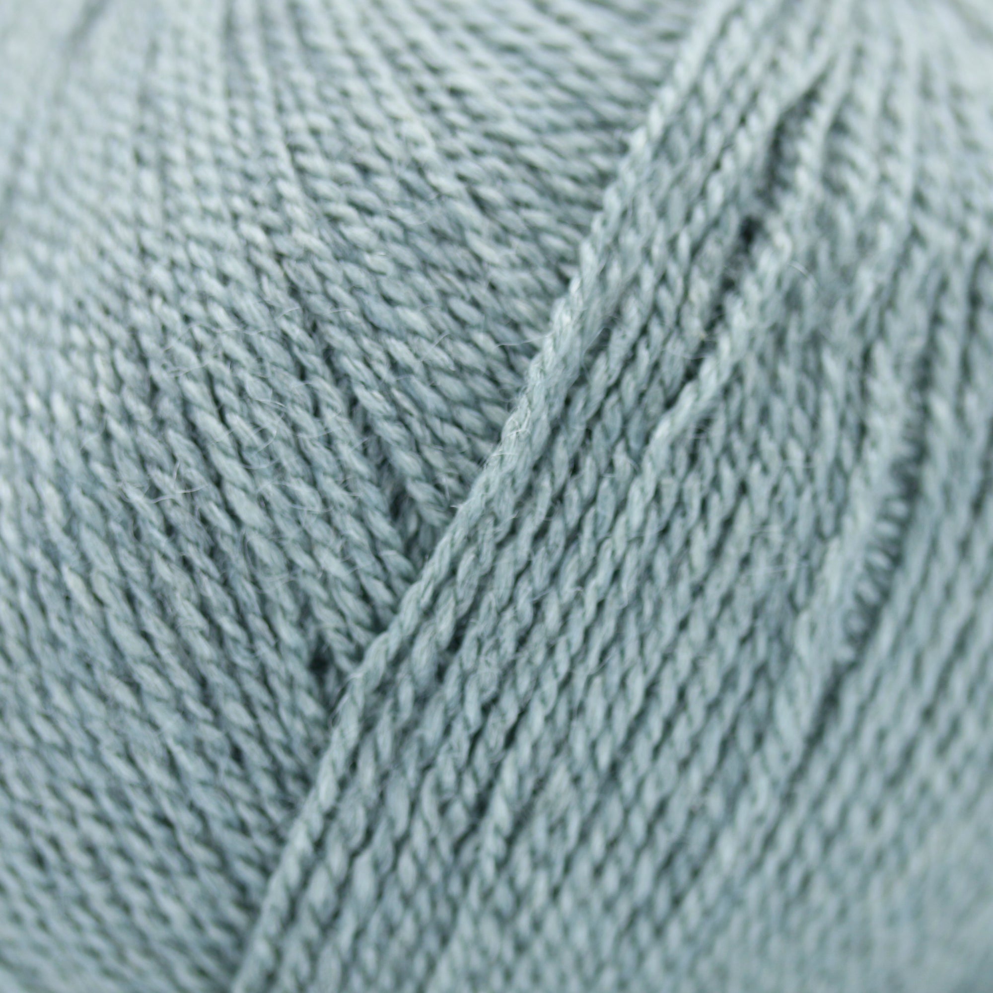 Wild &amp; Soft | Gepard