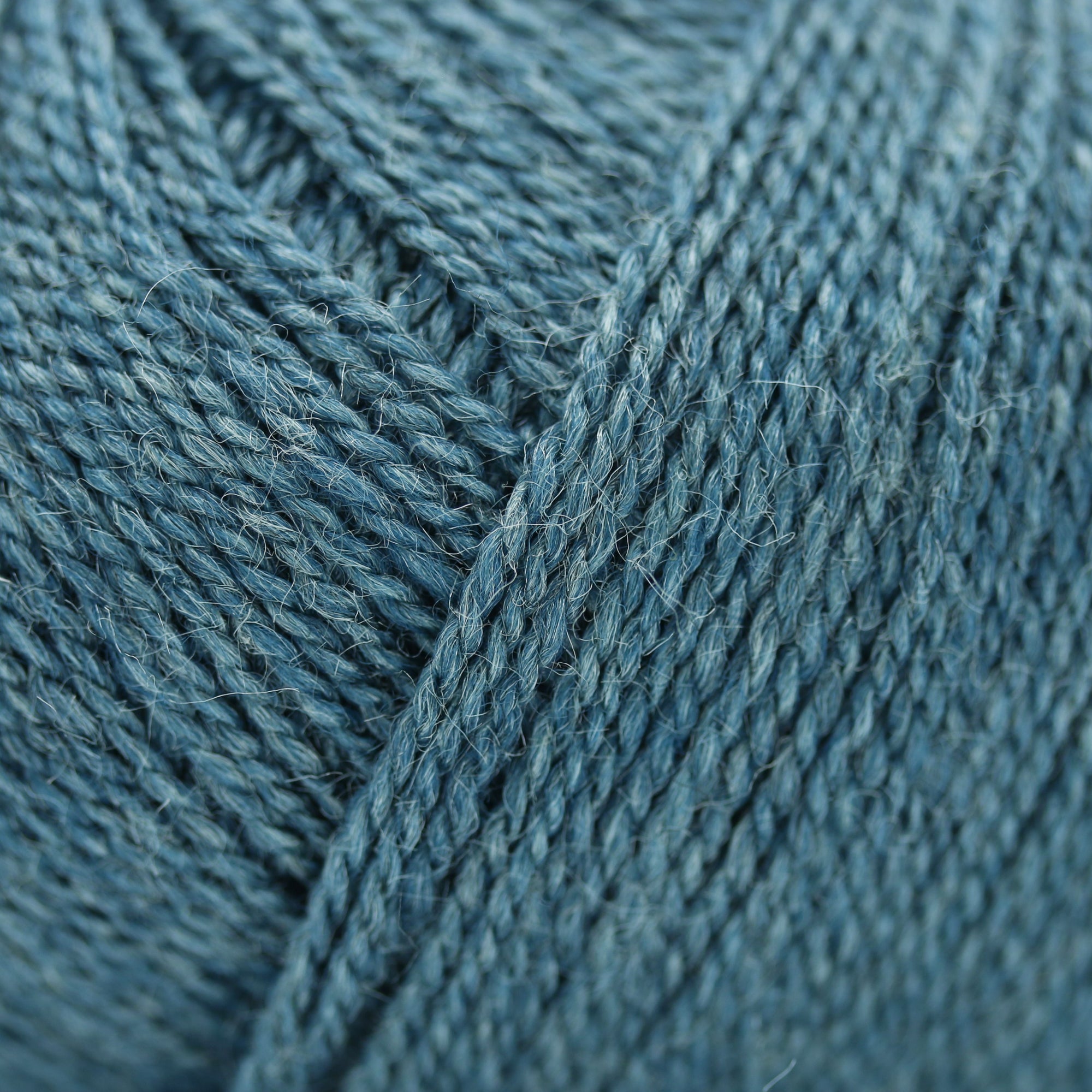 Wild &amp; Soft | Gepard