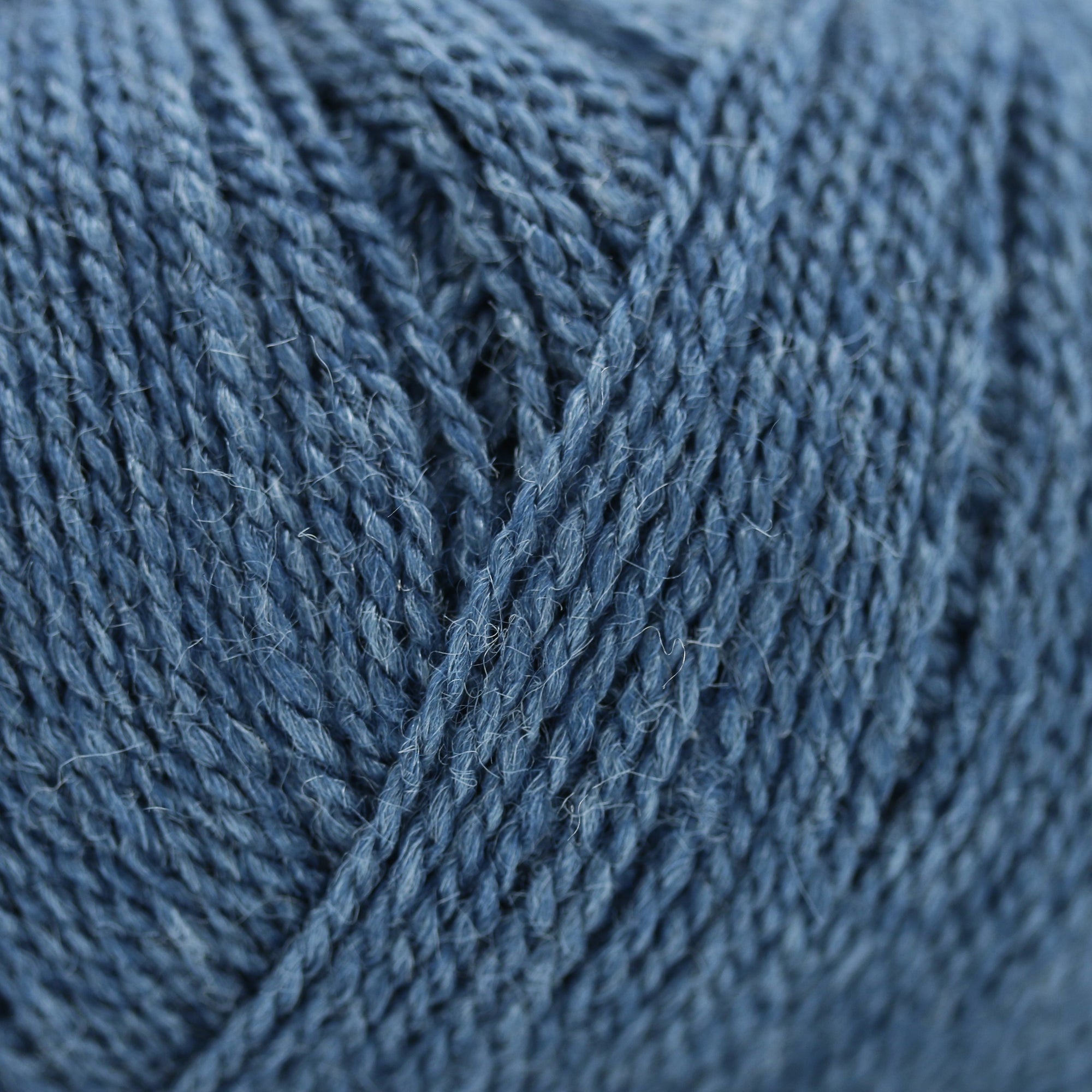 Wild &amp; Soft | Gepard