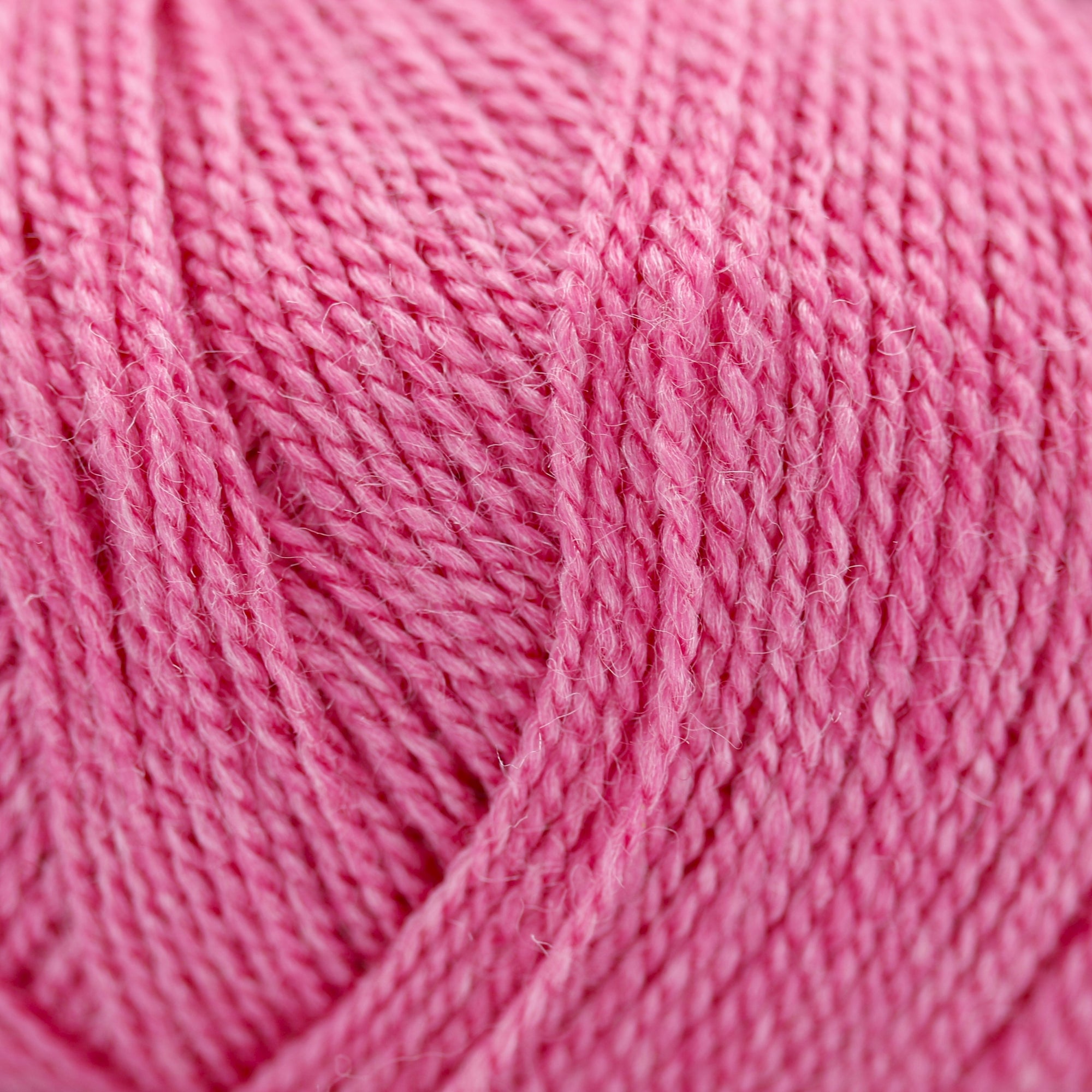 Wild &amp; Soft | Gepard