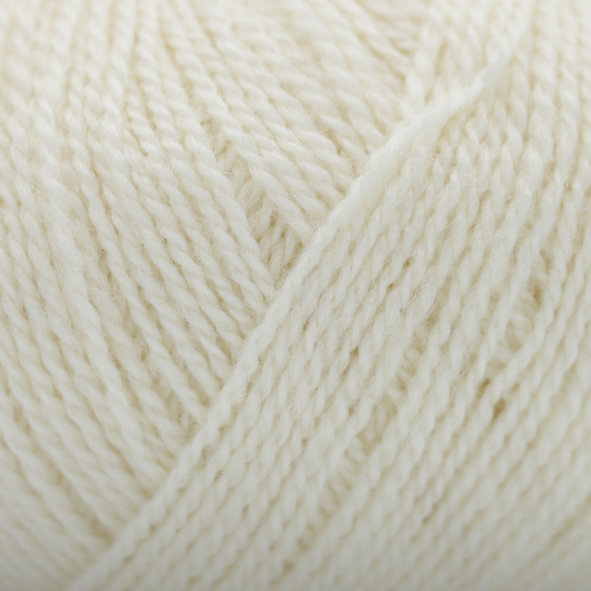 Wild &amp; Soft | Gepard