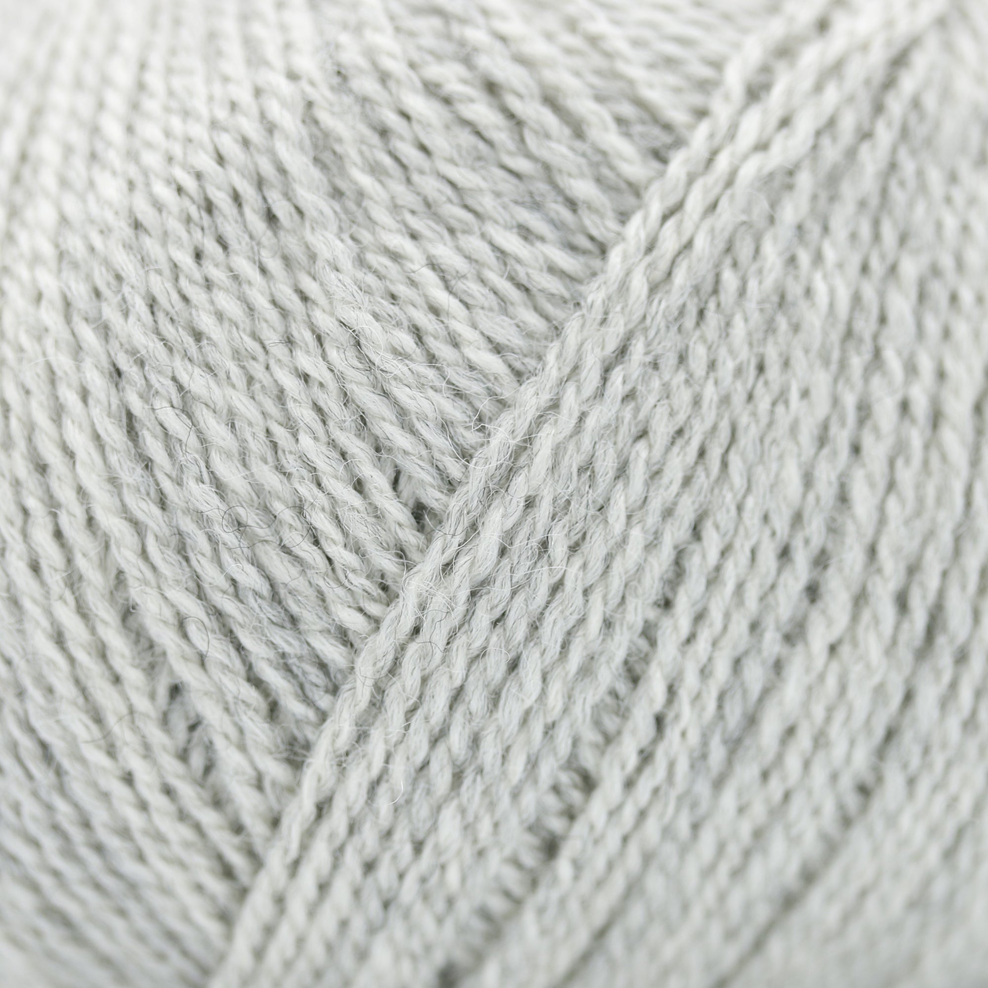 Wild &amp; Soft | Gepard