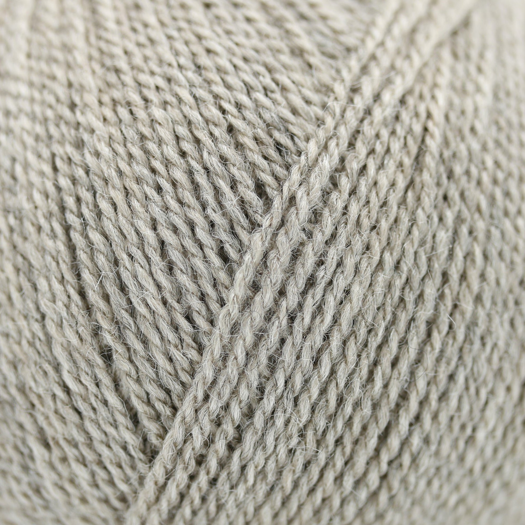 Wild &amp; Soft | Gepard