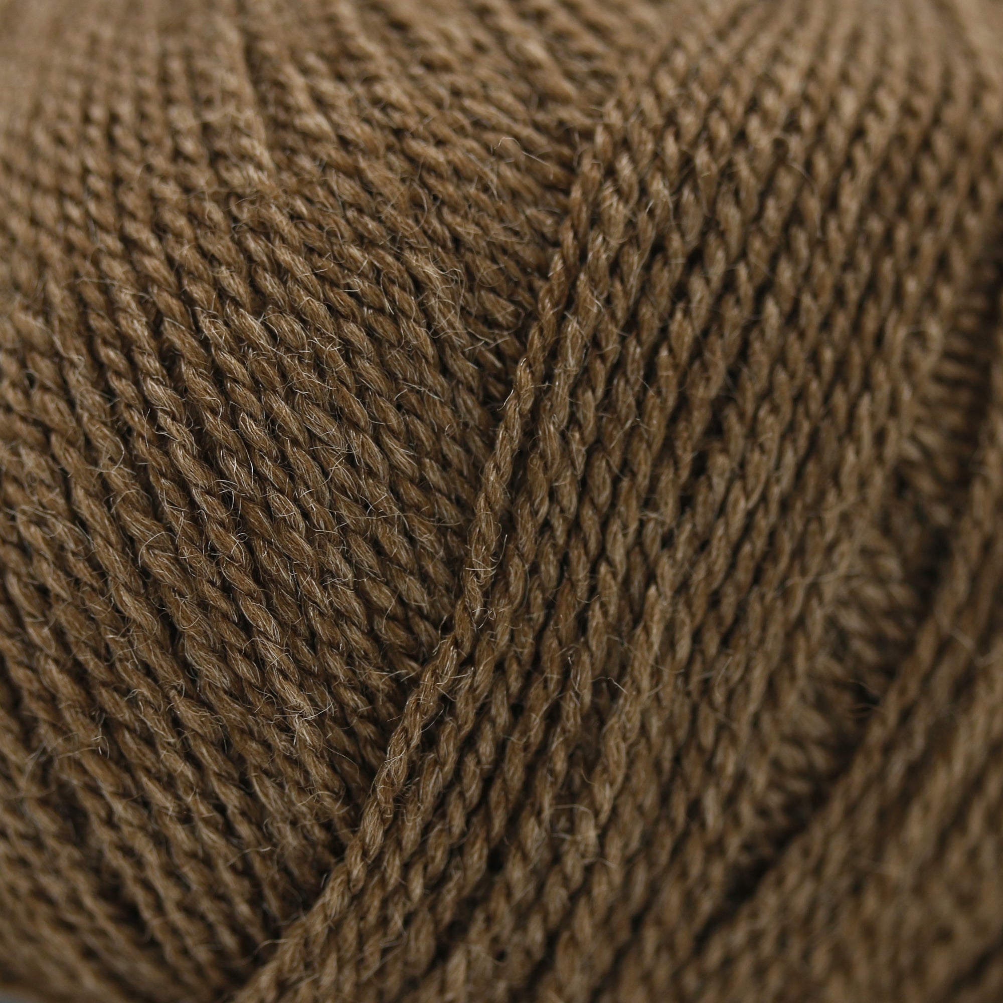 Wild &amp; Soft | Gepard