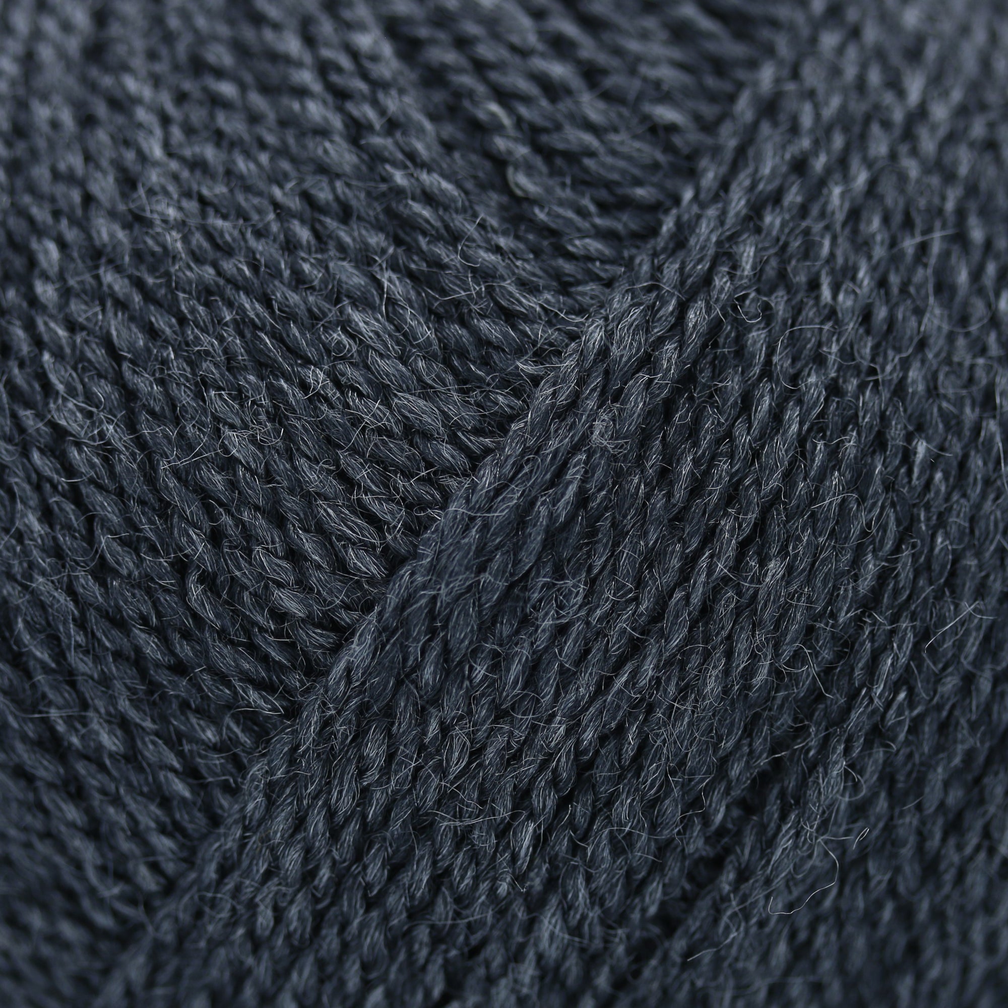 Wild &amp; Soft | Gepard