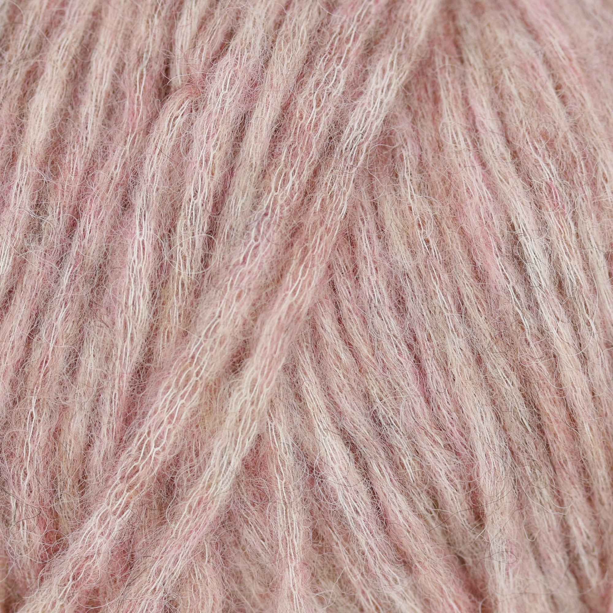 Snefnug | CaMaRose