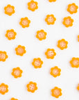 Yellow Daisy Buttons